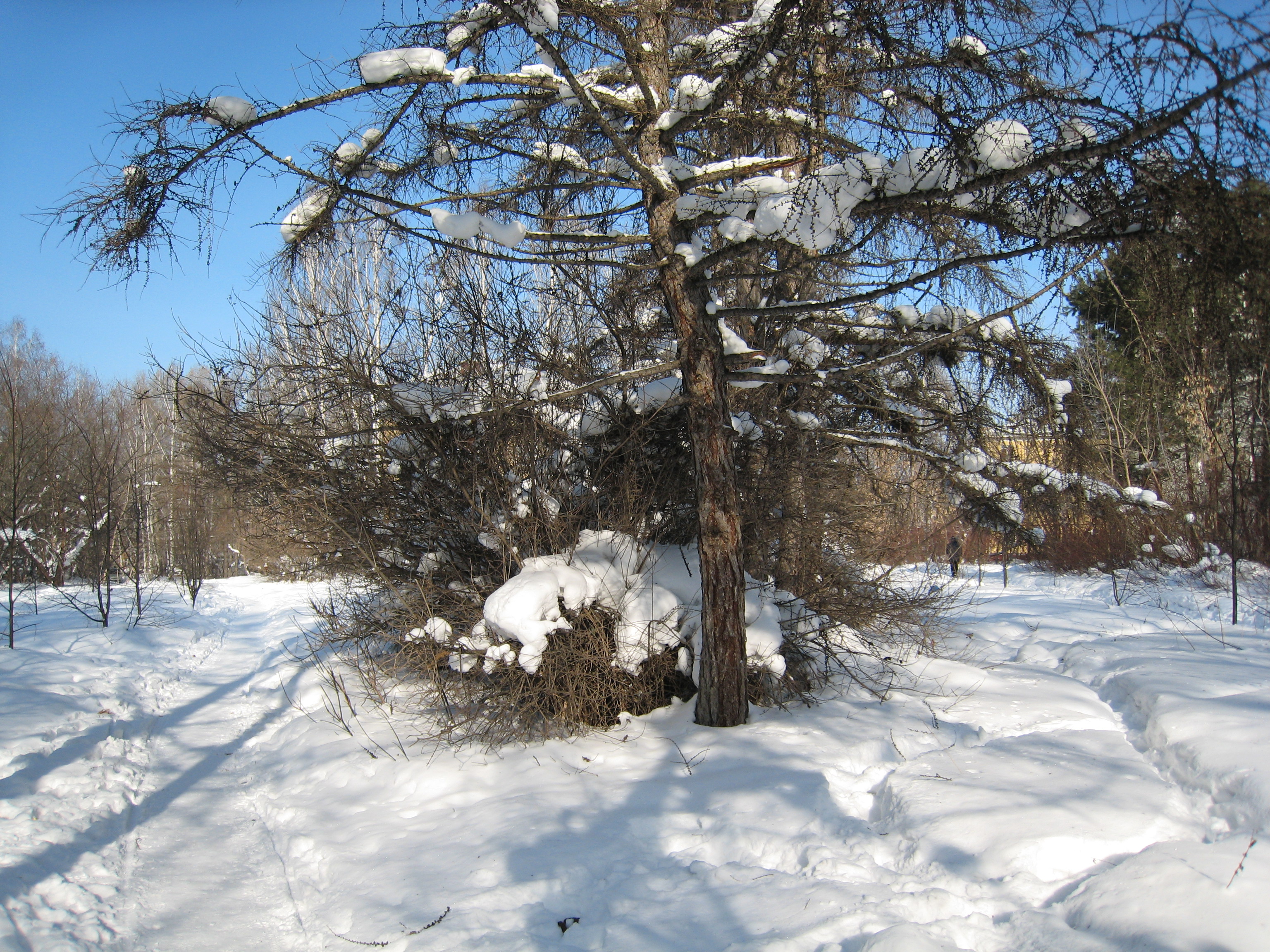 A path from  Shopping Center to Computing Center