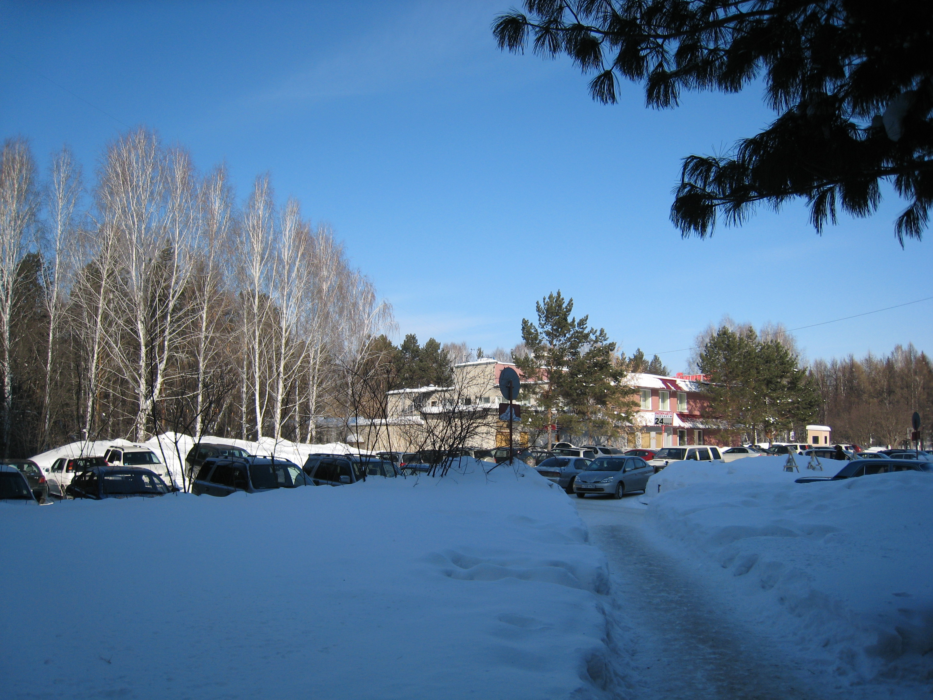 Cars near the Institute