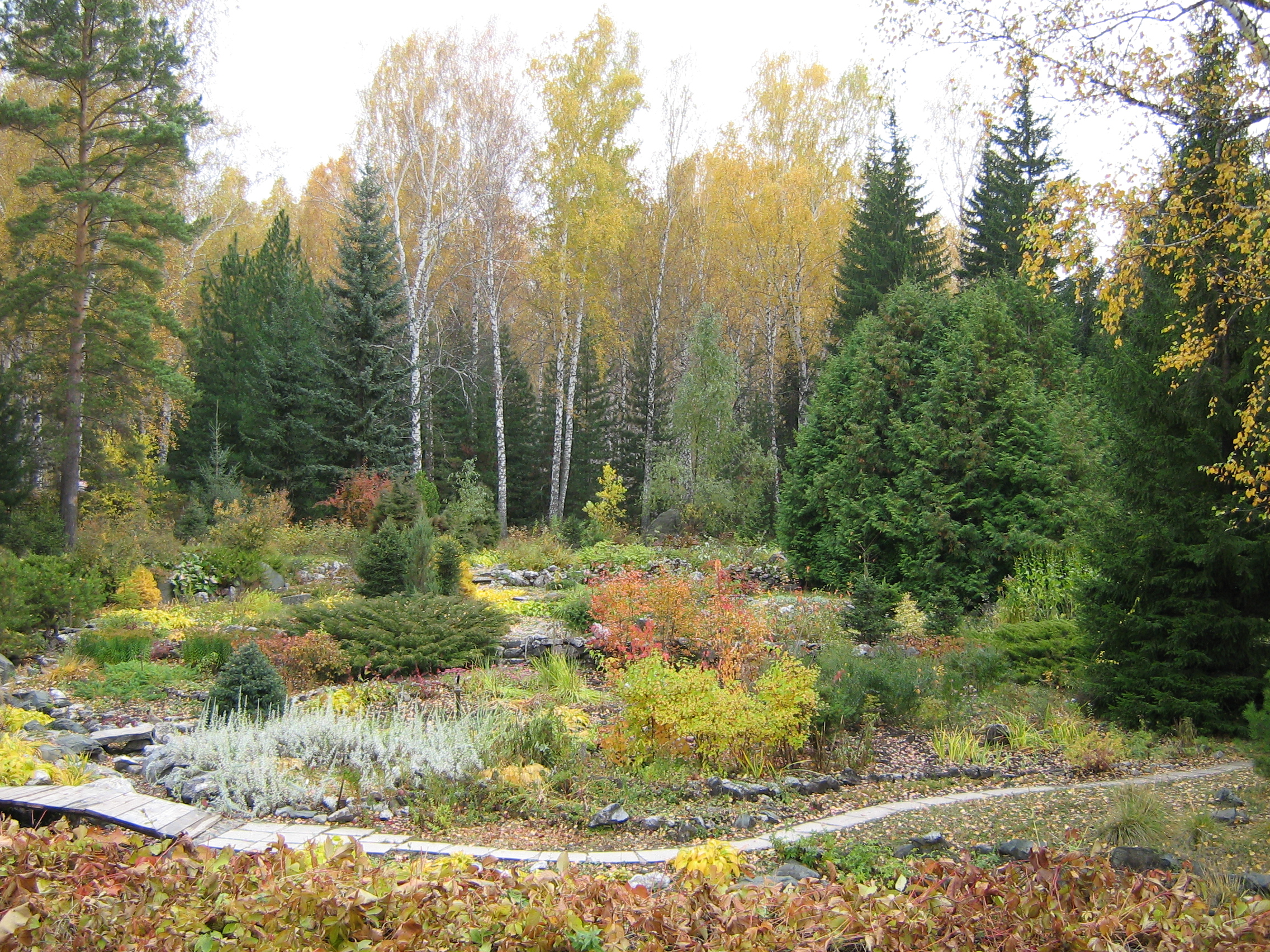 Autumn in Botanical garden, Akademgorodok
