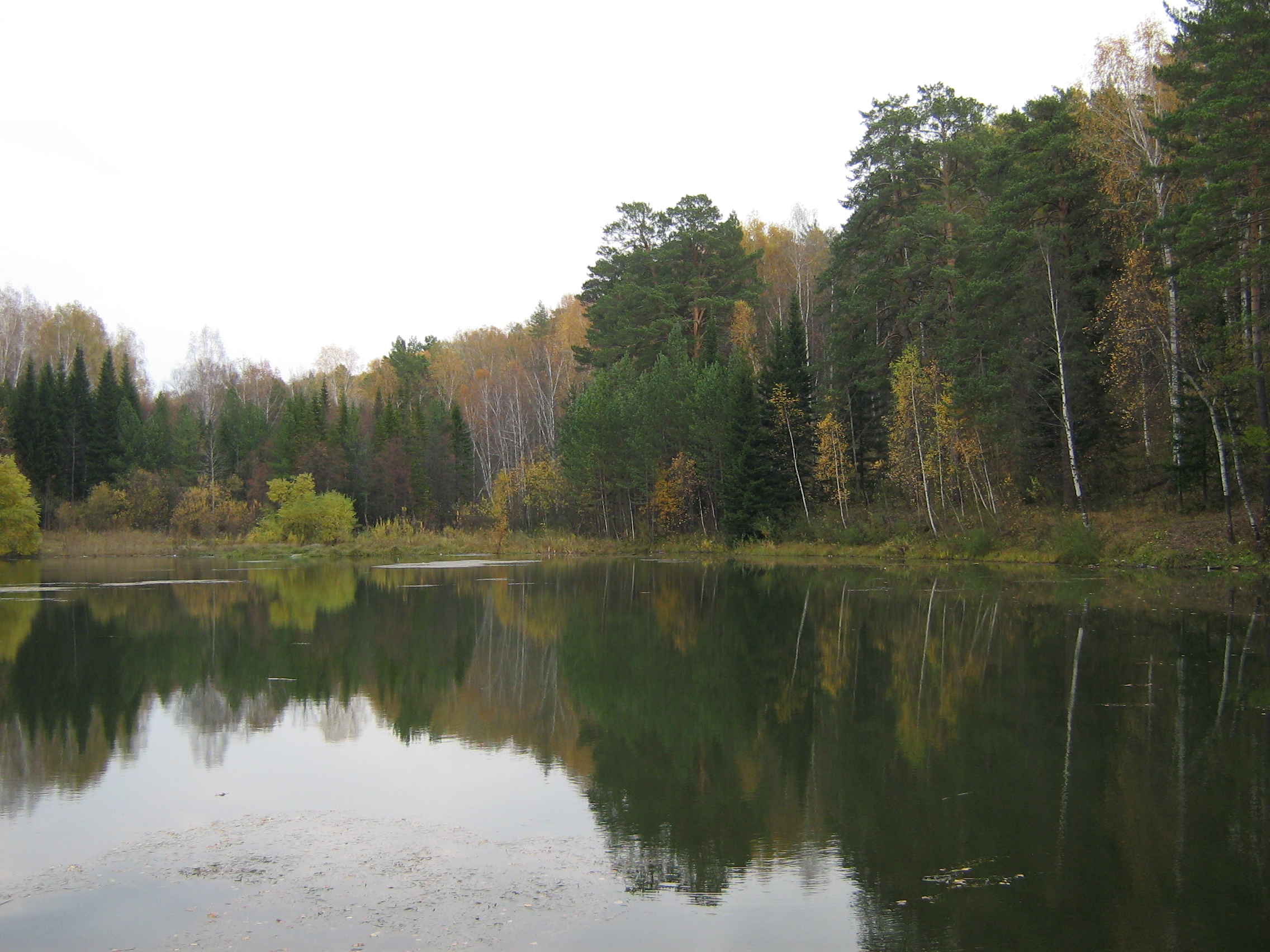 Pond in Botanical Garden