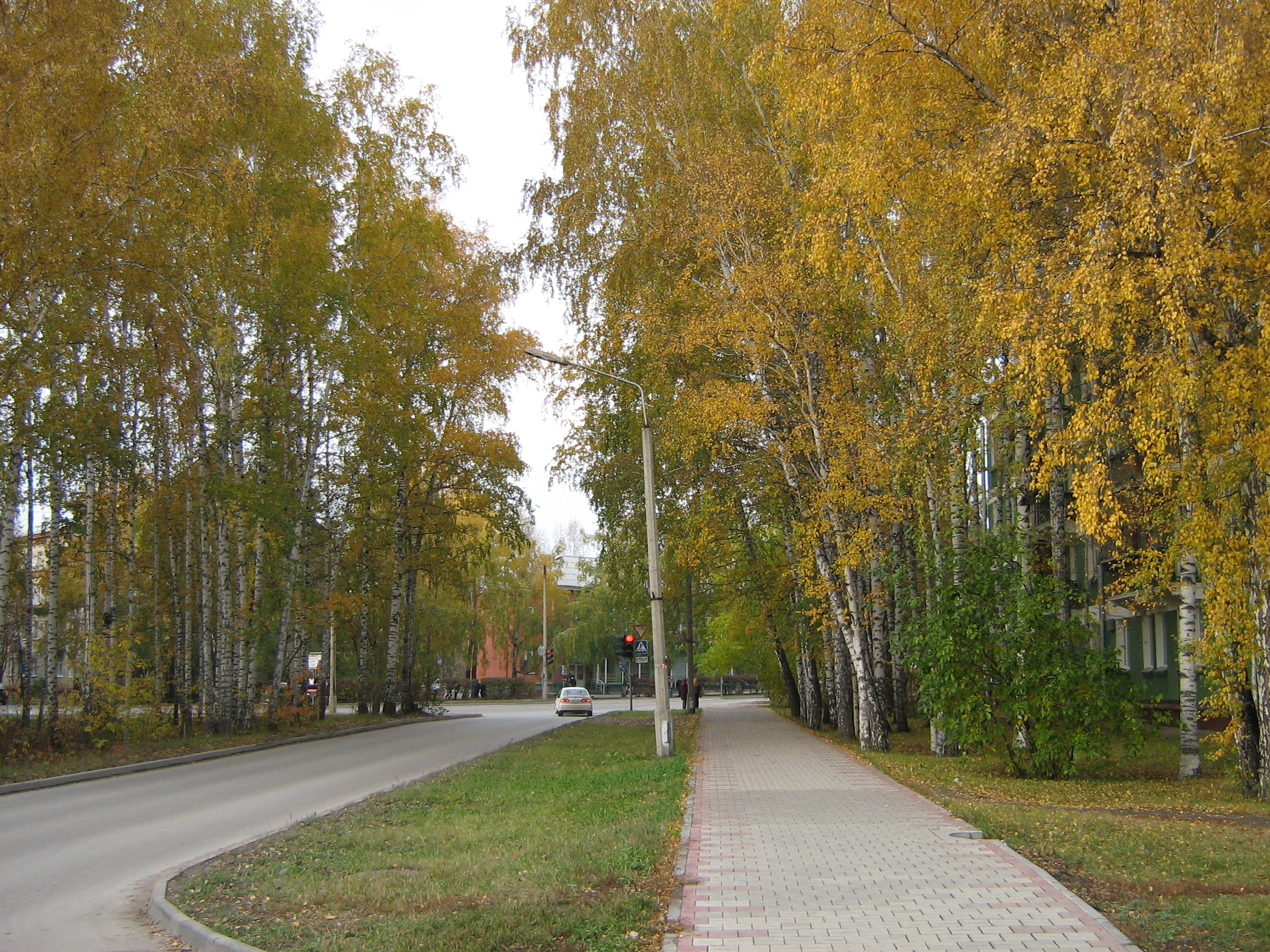 Zolotodolinskaya str.