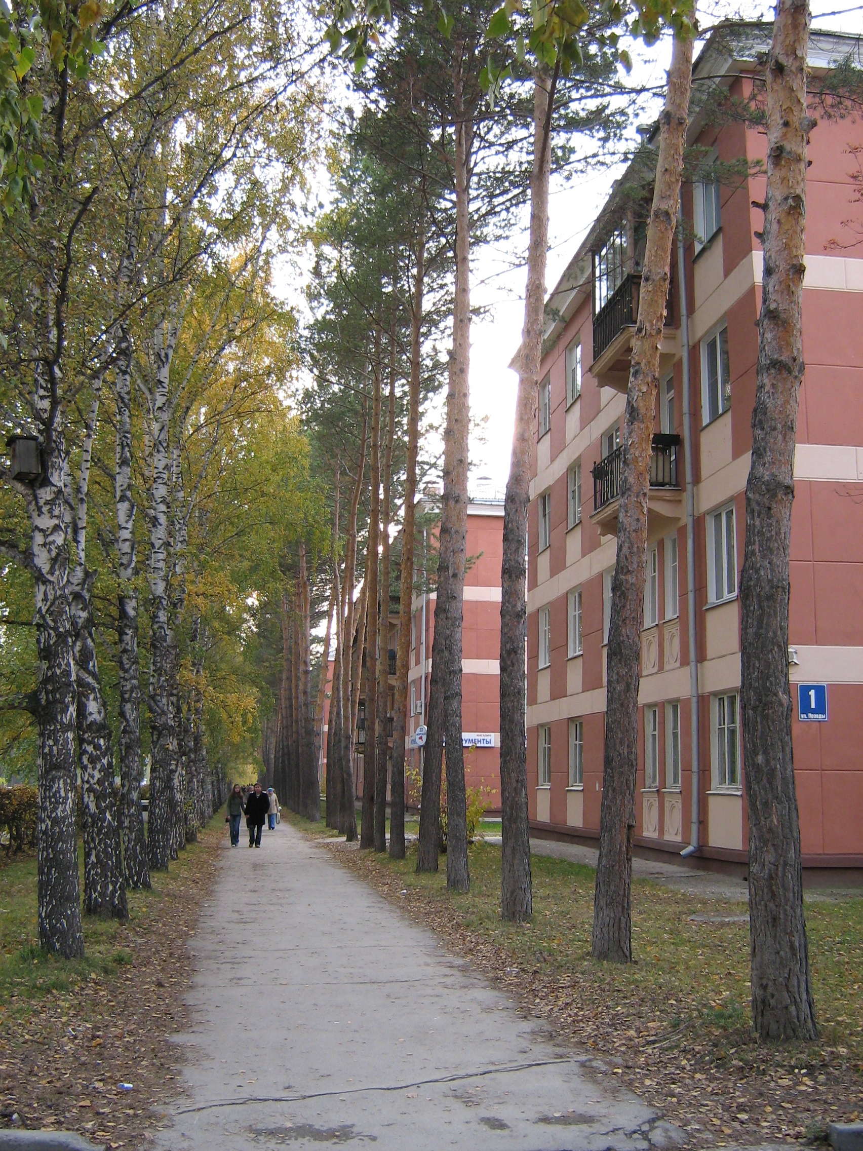 Autumn in Akademgorodok. Morskoj prospekt