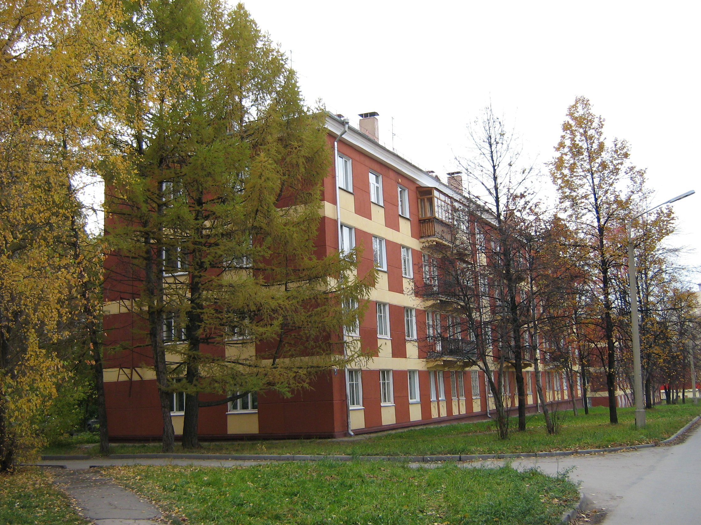 A larch on Morskoj prospekt