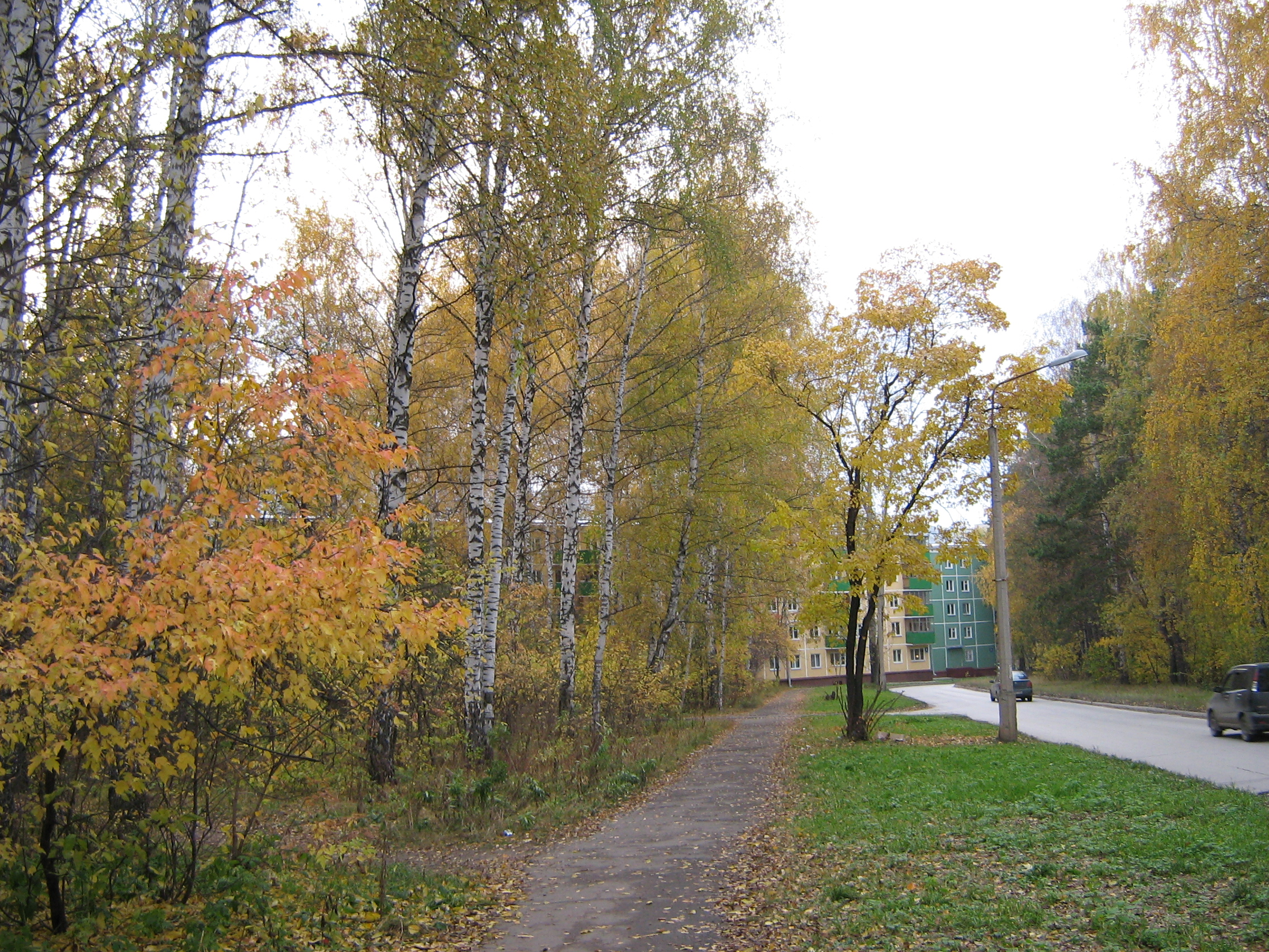 Autumn in Akademgorodok