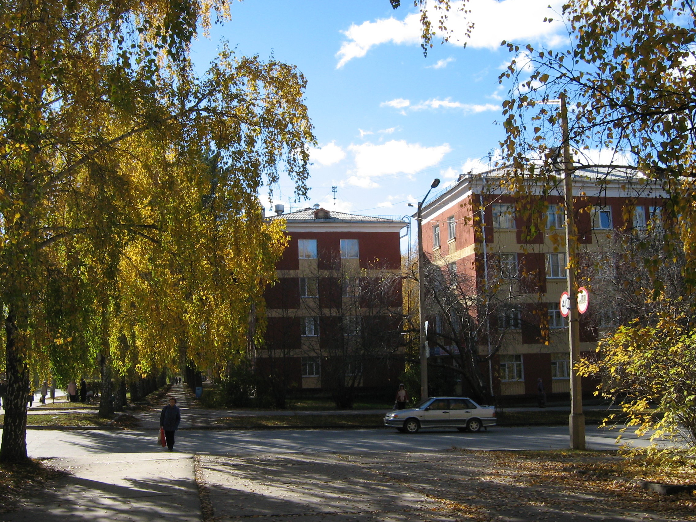 Autumn in Akademgorodok