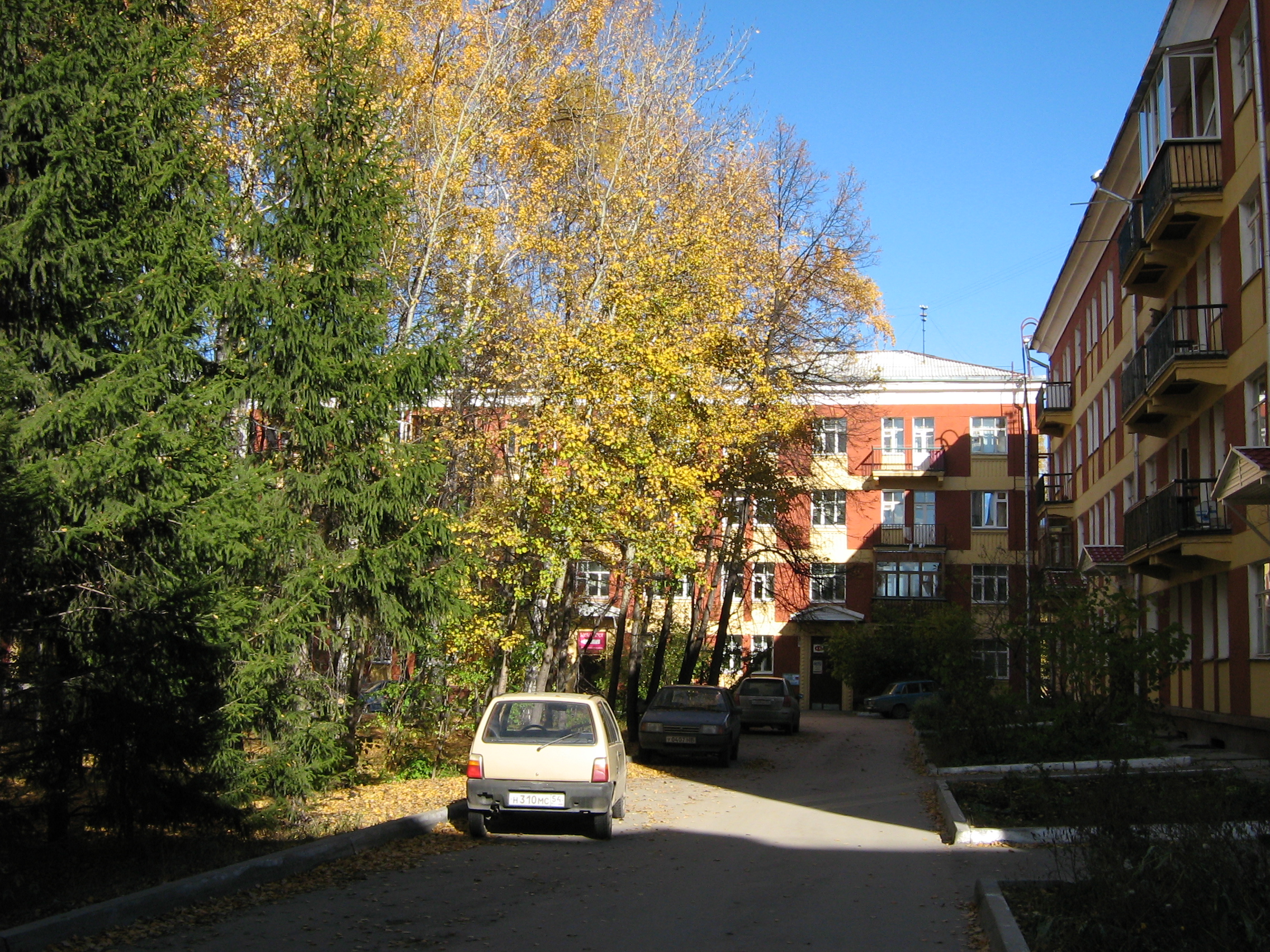 Autumn in Akademgorodok