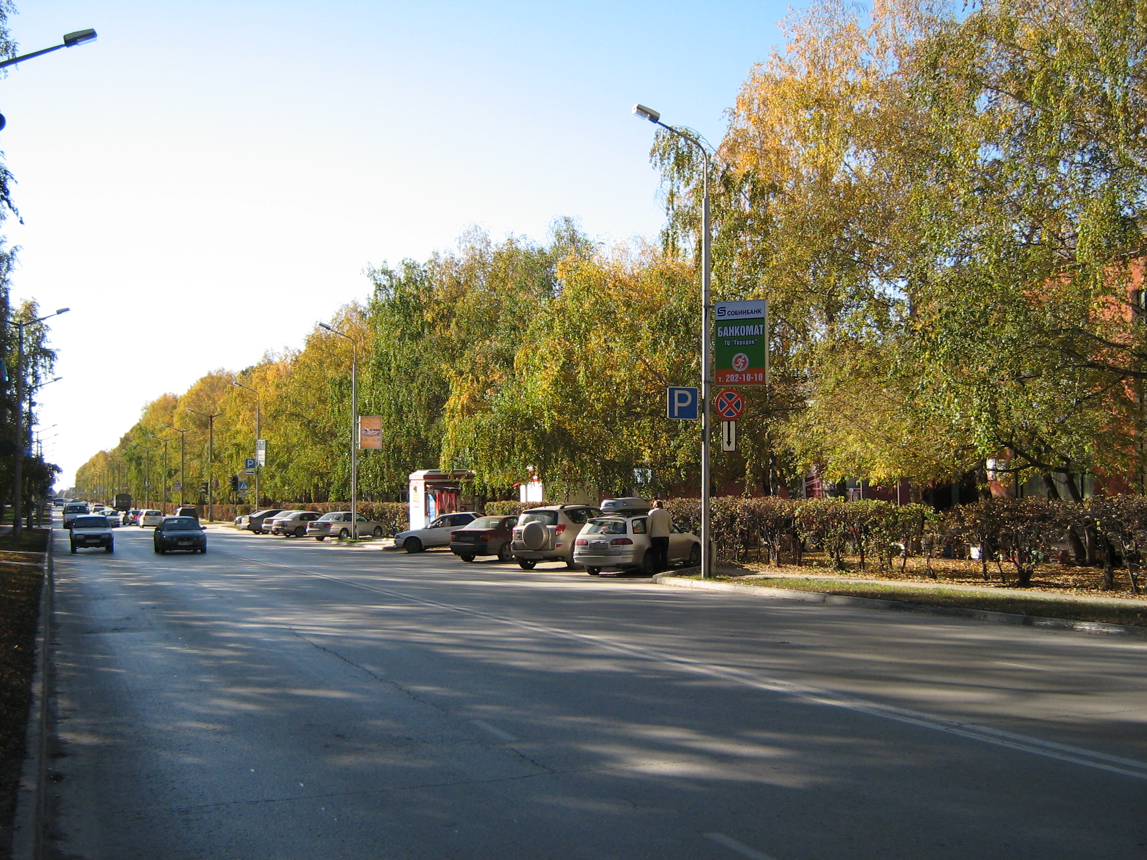 Autumn in Akademgorodok
