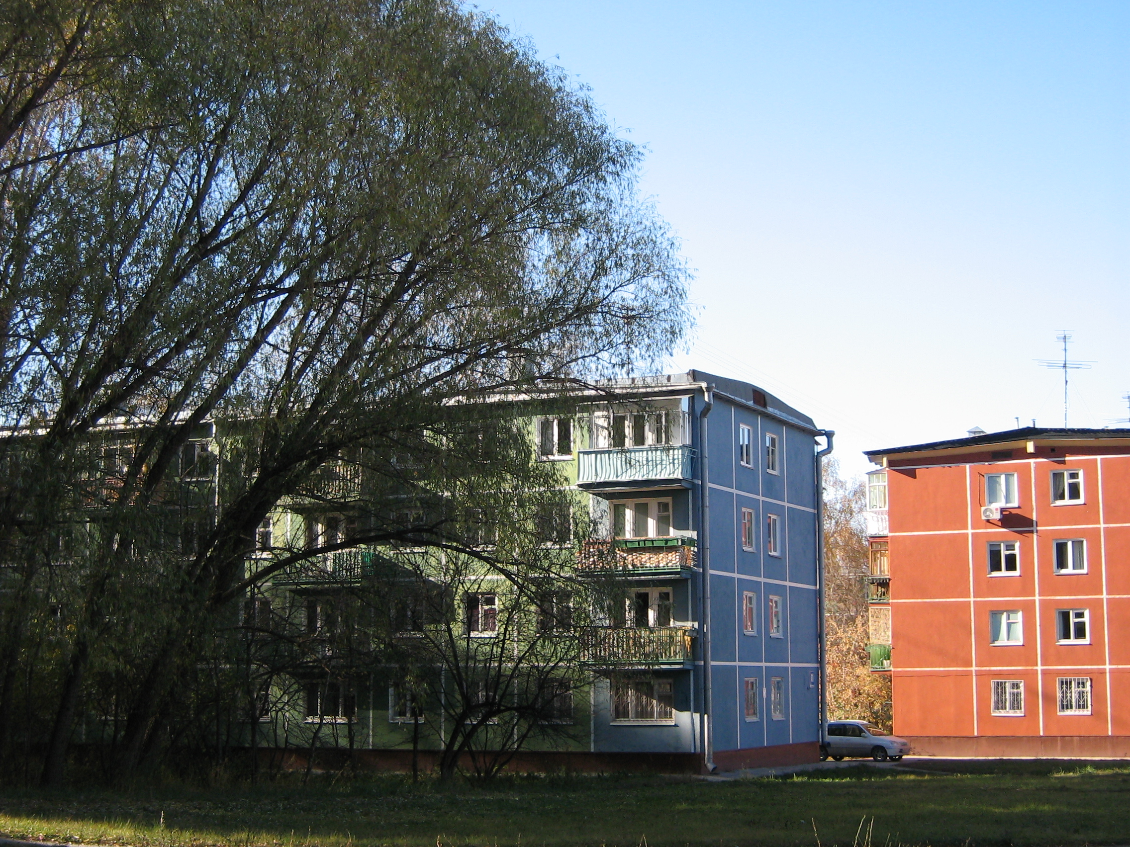 Autumn in Akademgorodok