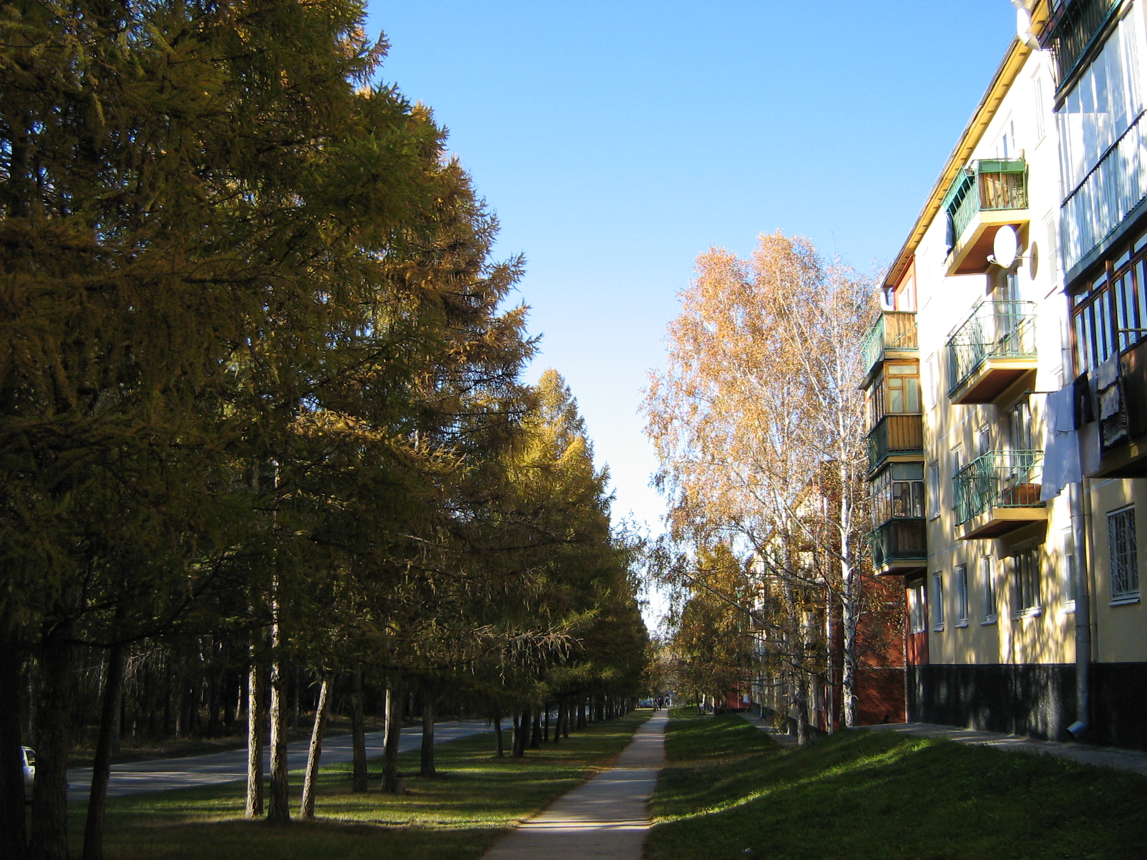 Autumn in Akademgorodok