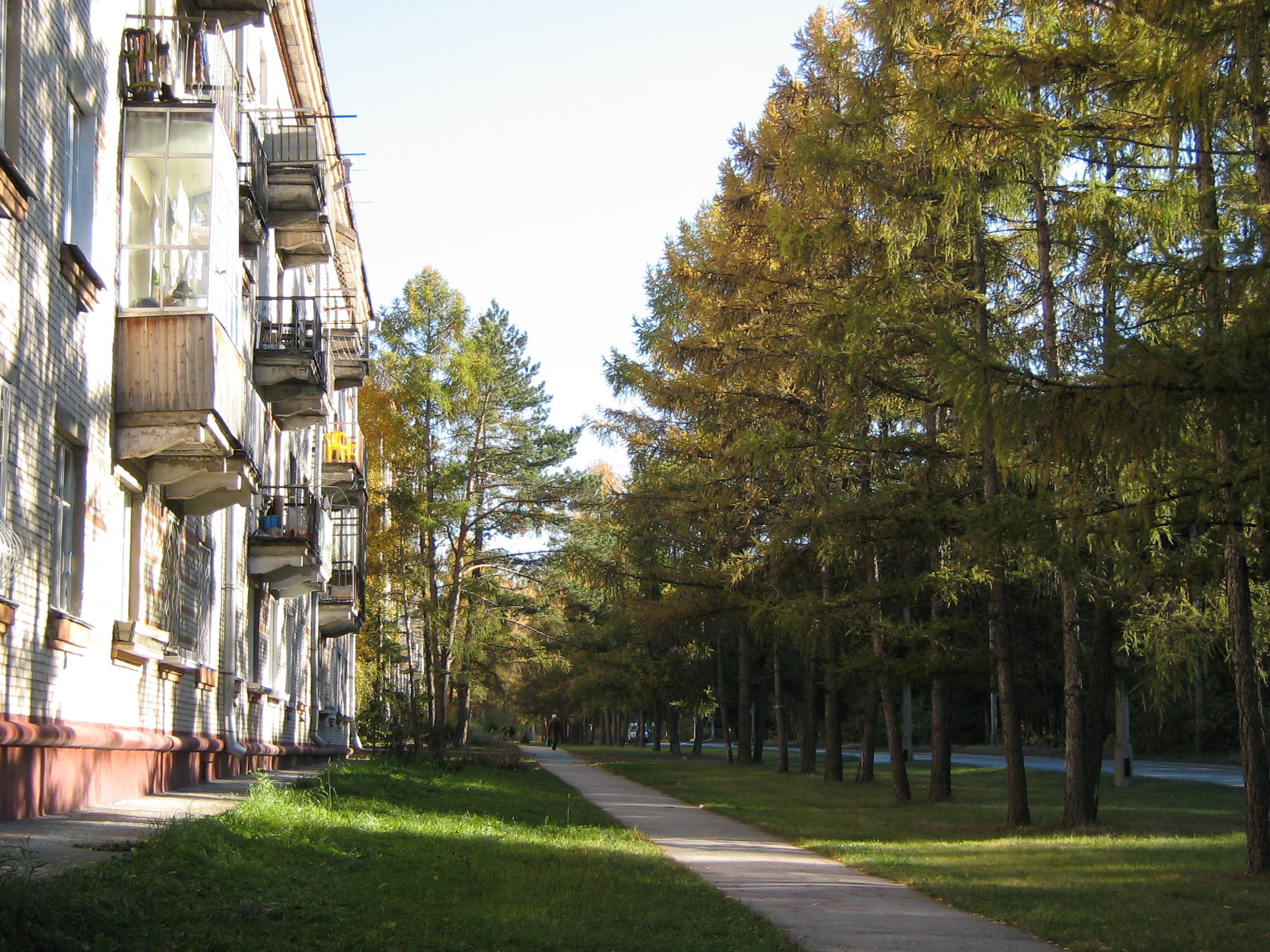 Autumn in Akademgorodok. Zhemchuzhnaya (Pearl) str.