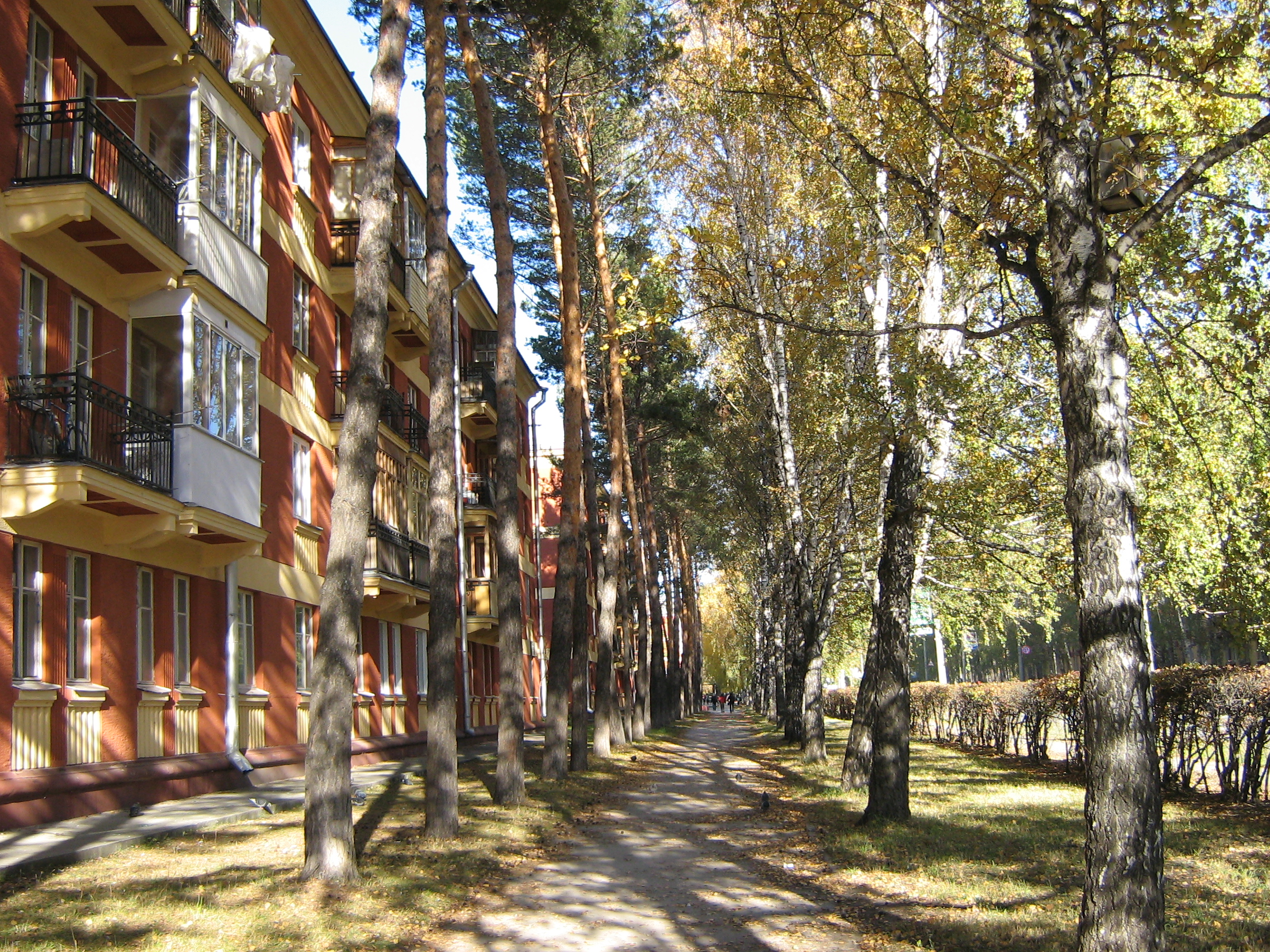 Autumn in Akademgorodok. Morskoj prospekt