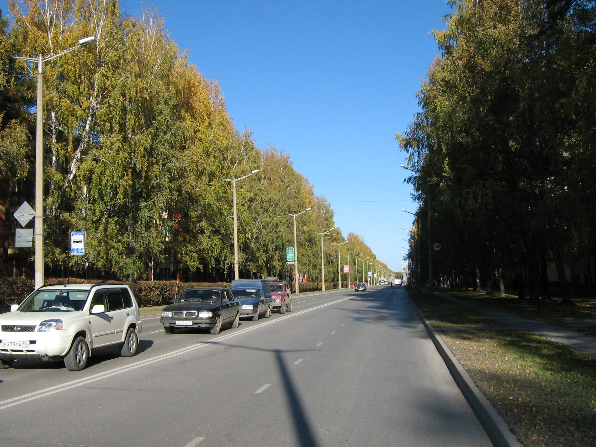 Autumn in Akademgorodok. Morskoj prospekt