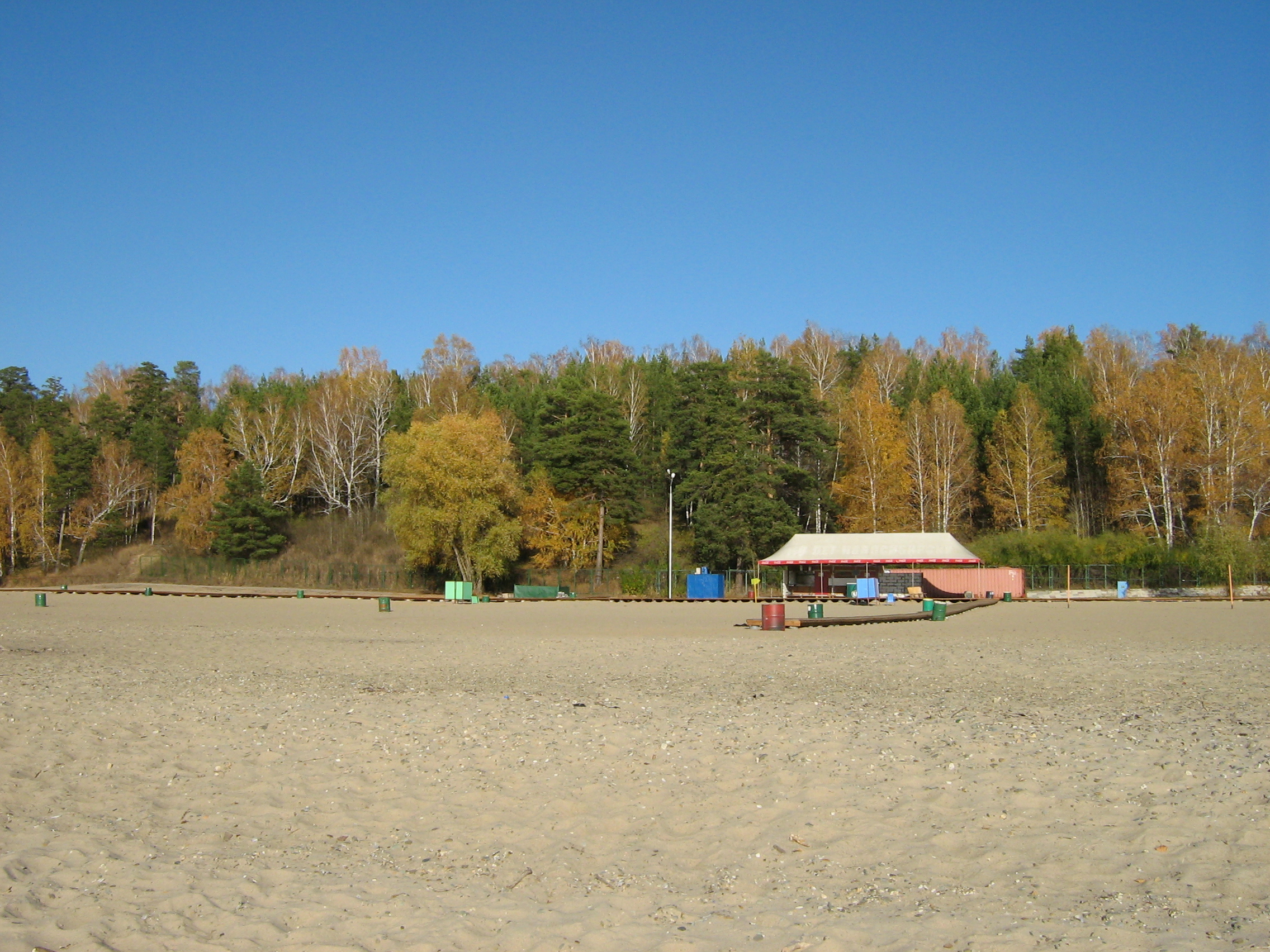 Autumn in Akademgorodok