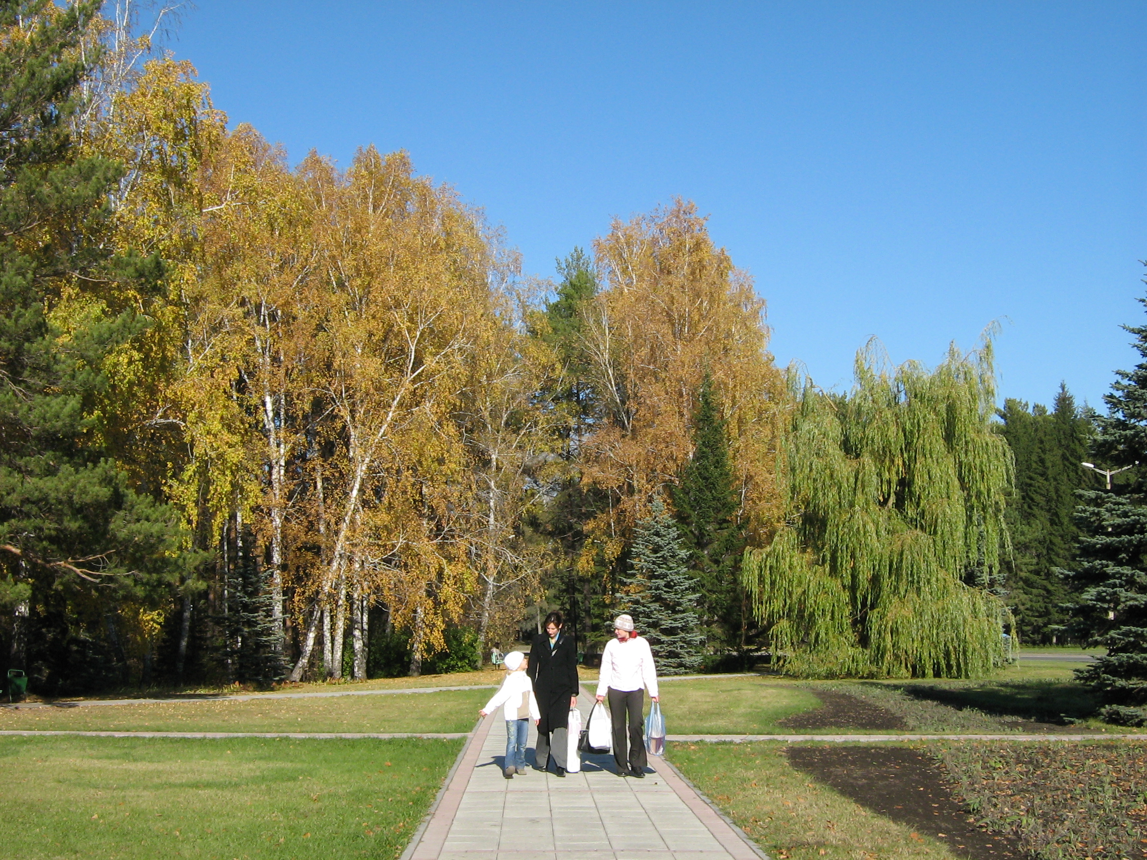 Autumn in Akademgorodok