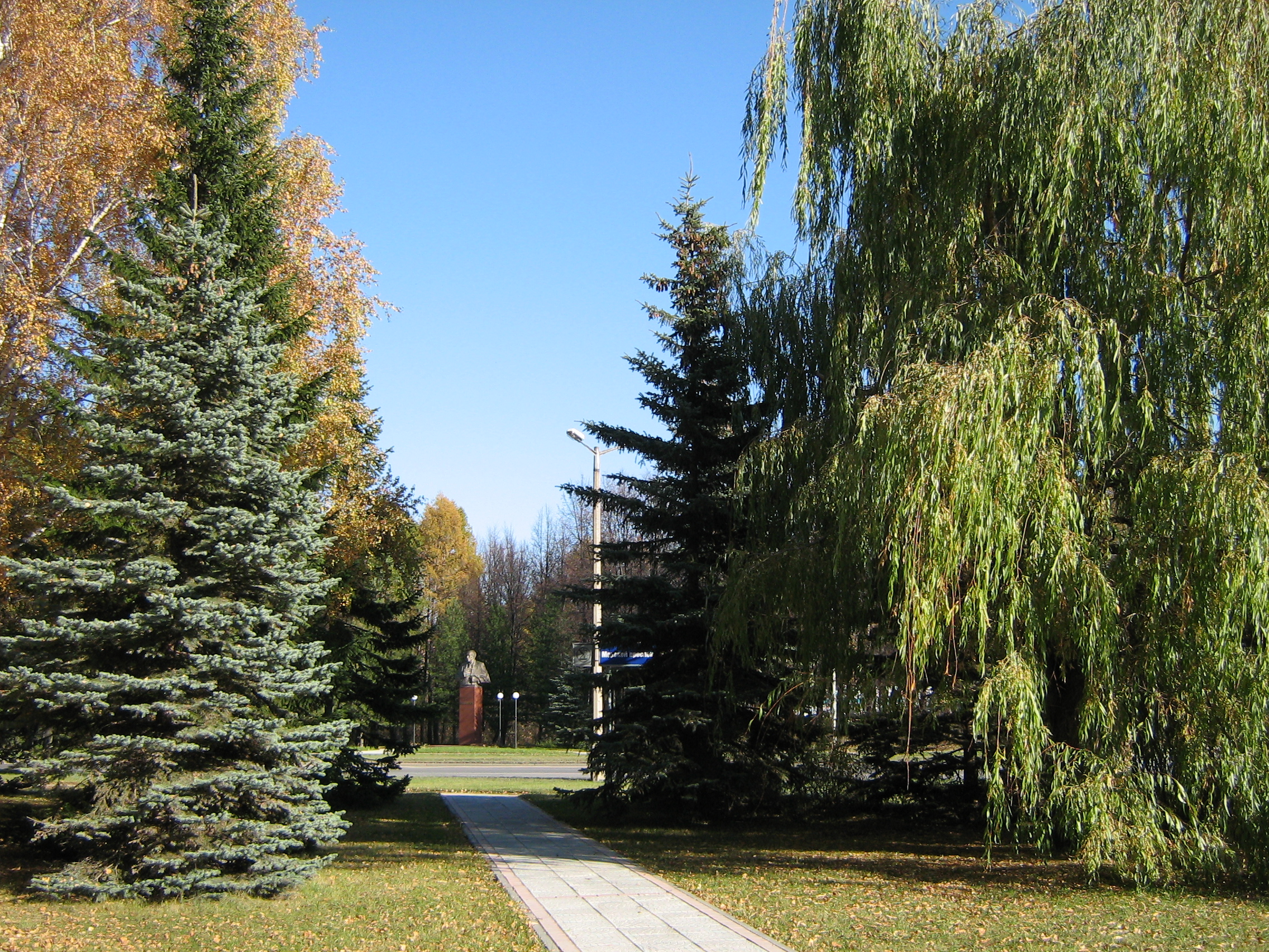 Autumn in Akademgorodok