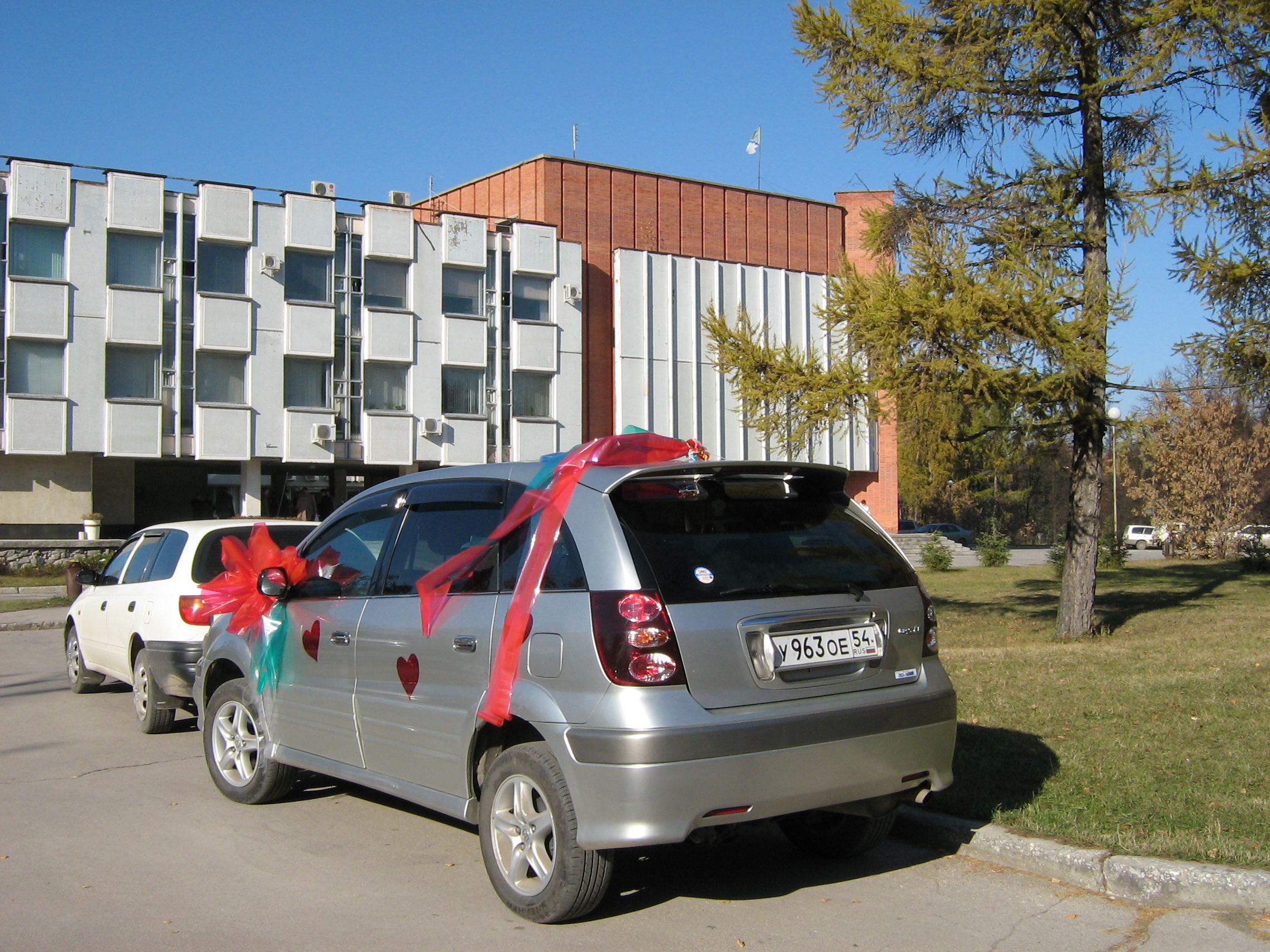 Autumn in Akademgorodok. Wedding car