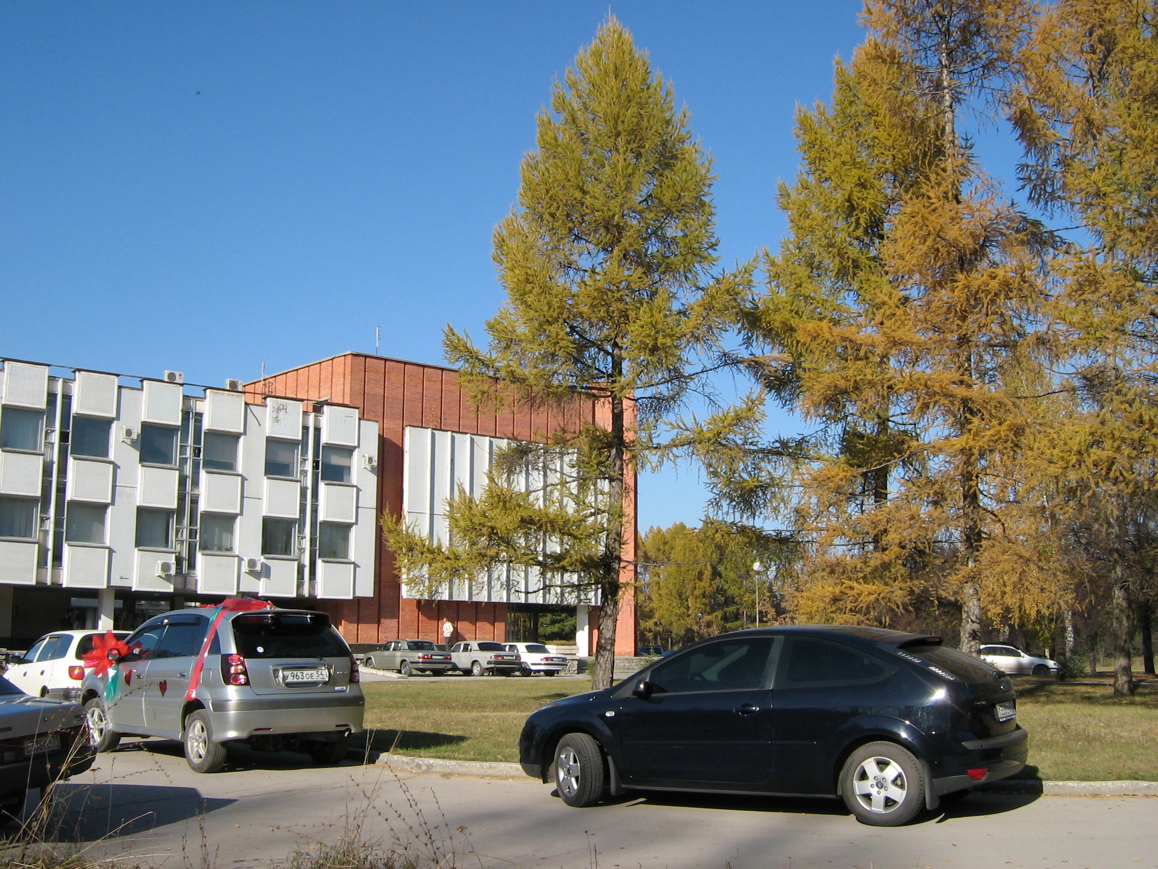 Autumn in Akademgorodok