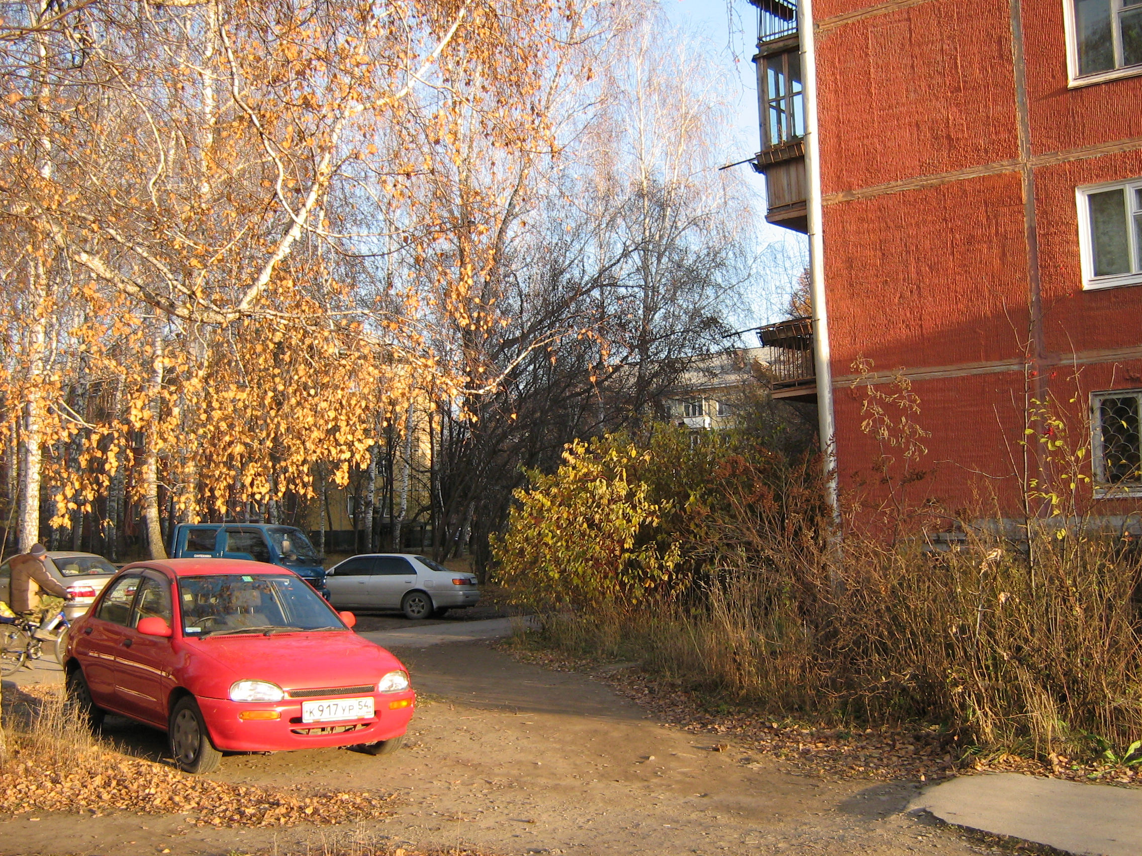 Autumn in Akademgorodok