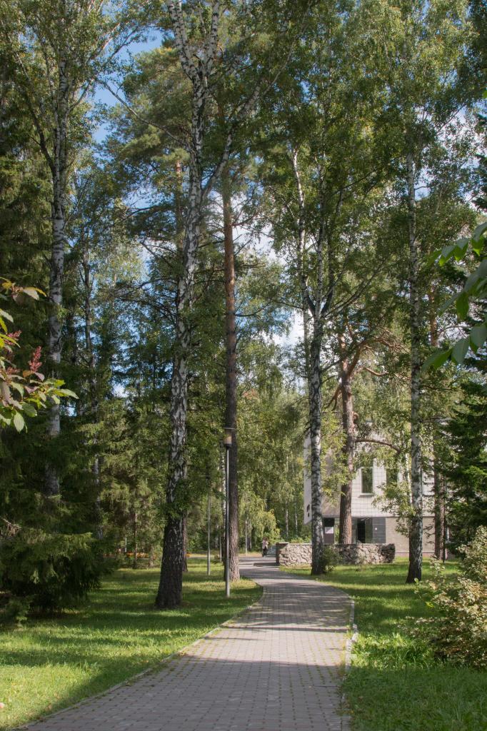 Akademgorodok in Summer