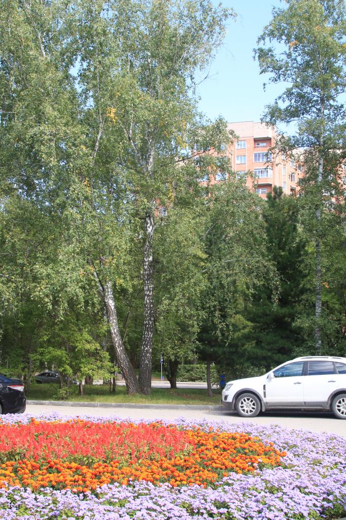 Akademgorodok in Summer