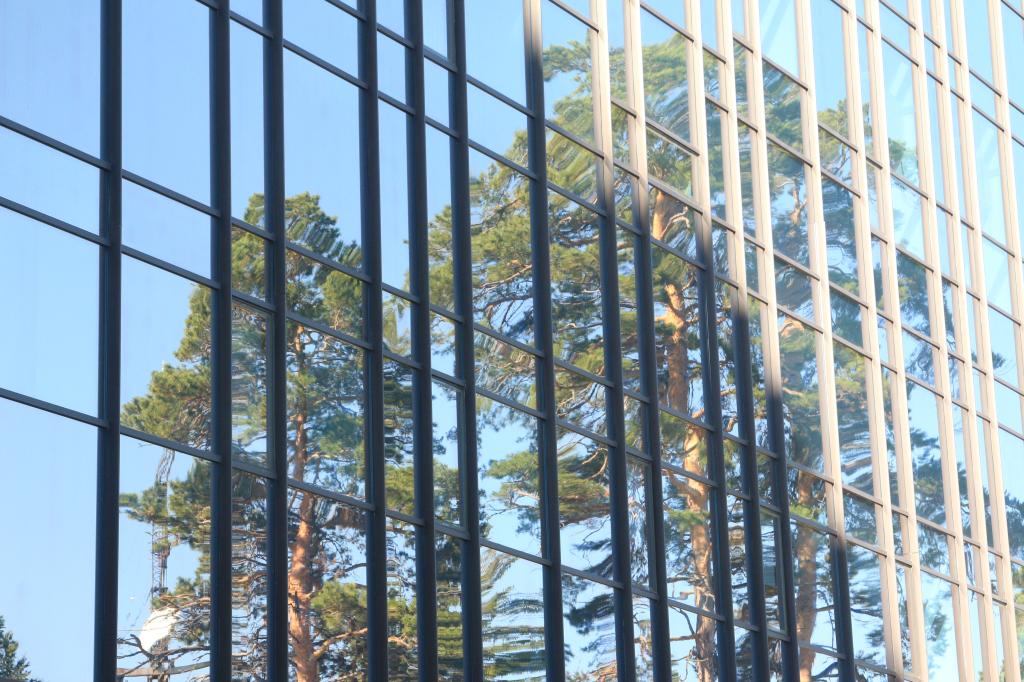 Akademgorodok in Summer