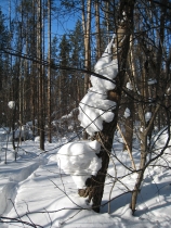 After snowfall After snowfall