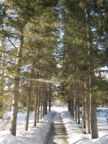 A path is thawed A path is thawed