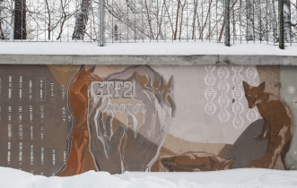 Akademgorodok in Winter Akademgorodok in Winter