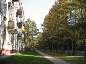 Autumn in Akademgorodok. Zhemchuzhnaya (Pearl) str.