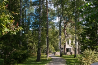 Akademgorodok in Summer