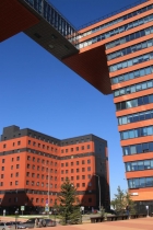 Akademgorodok in Summer Akademgorodok in Summer